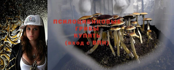 спиды Балабаново